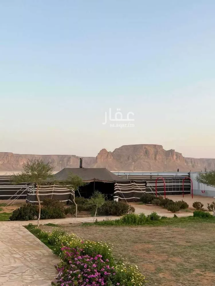 استراحة للإيجار في شارع هجرة الاوسط 840, حي تجمع سكاني الحنية, مدينة تجمع سكاني الحنية, منطقة الرياض صورة 3