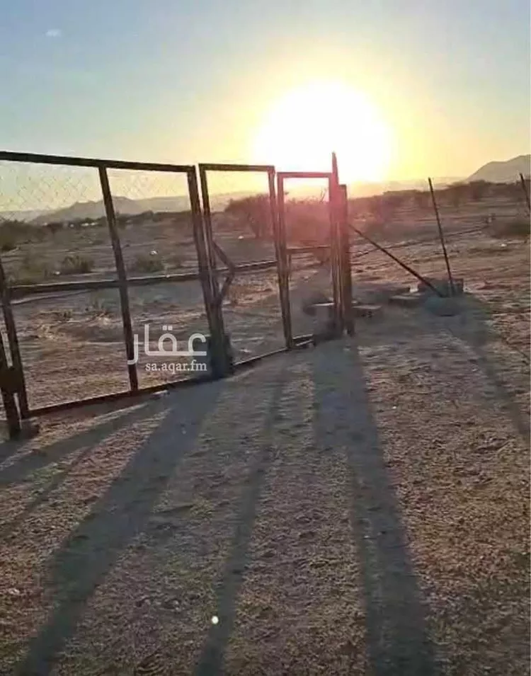 مزرعة للبيع في شارع سايله غزال, حي سايلة غزال, مدينة الحصينية, منطقة نجران صورة 3