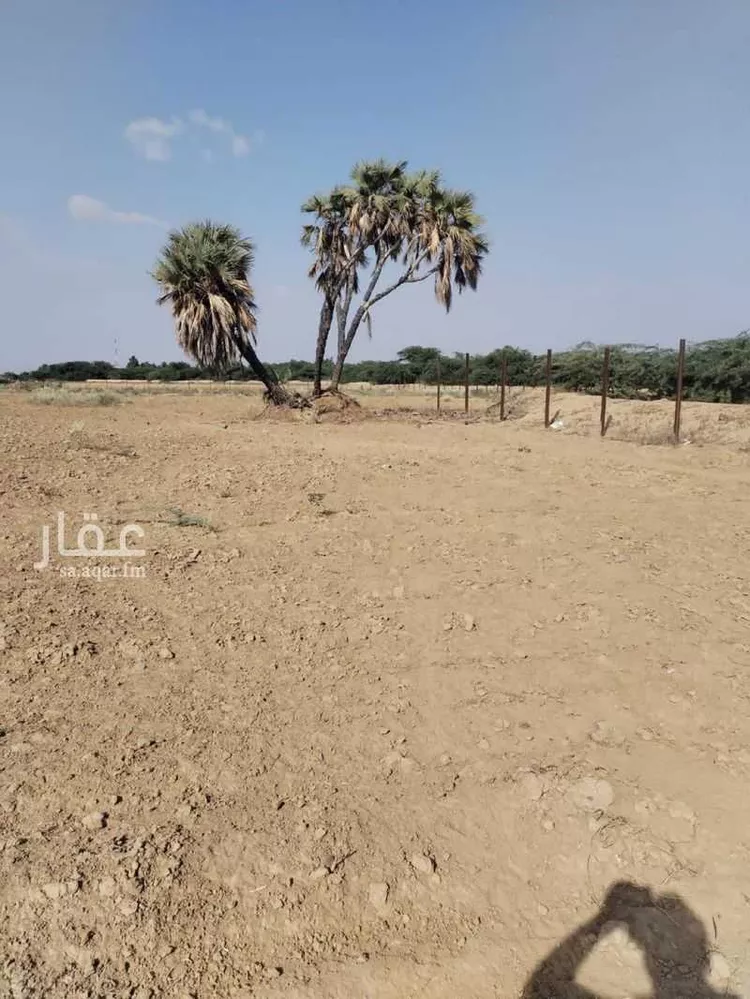 أرض للبيع في مدينة حله مشاري, منطقة جازان 6