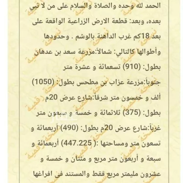 أرض للبيع في حي حماده الفروثى, مدينة حماده الفروثى, منطقة الرياض صورة 2