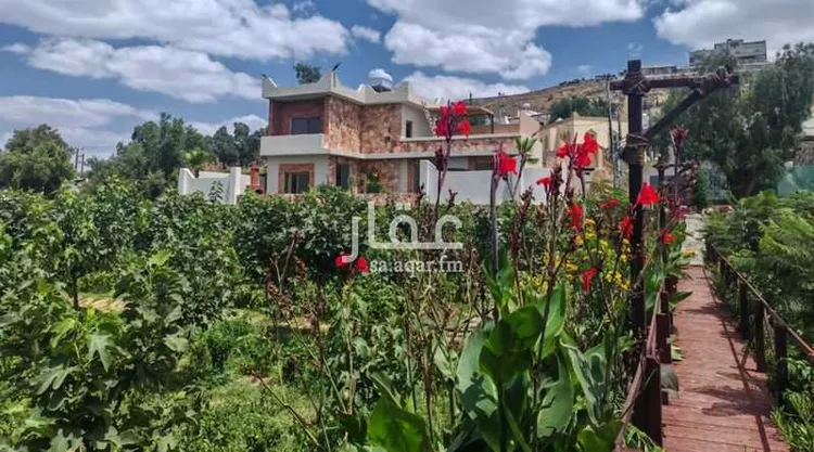 مزرعة للبيع في شارع الدف, حي النعمان, مدينة أبها, منطقة عسير صورة 2