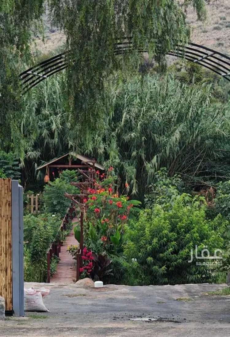 مزرعة للبيع في شارع الدف, حي النعمان, مدينة أبها, منطقة عسير