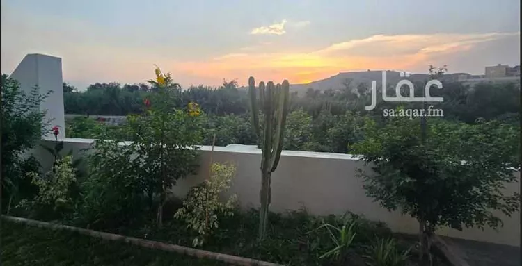 مزرعة للبيع في شارع الدف, حي النعمان, مدينة أبها, منطقة عسير صورة 4