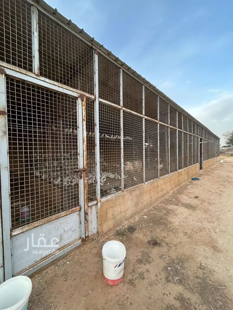 مزرعة للبيع في شارع الملبخي, حي السلمية, مدينة الخرج, منطقة الرياض صورة 2