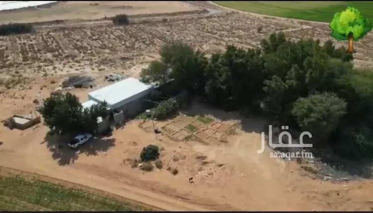 أرض للبيع في شارع الضبيعة 19, حي الضبيعة, مدينة الخرج, منطقة الرياض صورة 2