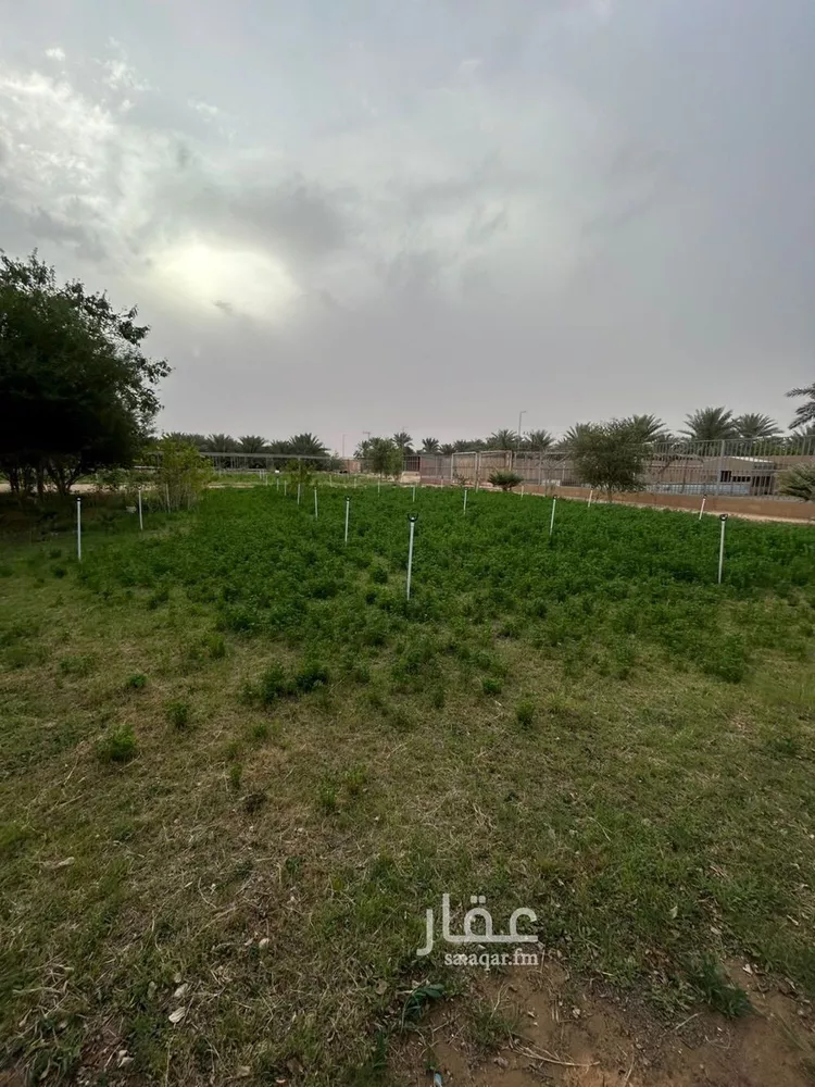 مزرعة للبيع في شارع الملبخي, حي السلمية, مدينة الخرج, منطقة الرياض صورة 4