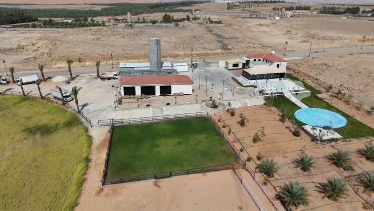 مزرعة للبيع في شارع ابي السعود الدباس, حي مزارع جنوب المدينة والبربك, مدينة مزارع جنوب المدينة والبربك 3