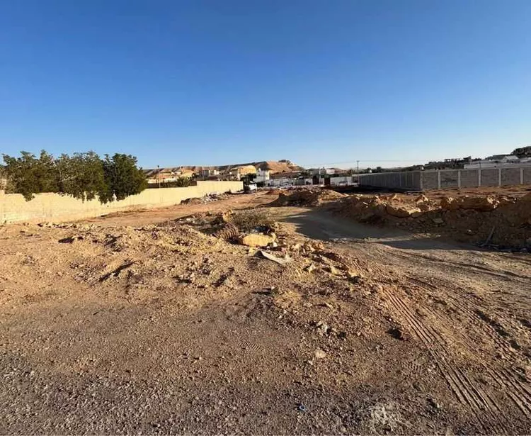 أرض للبيع في حي مزارع وادى العماريه, مدينة مزارع وادى العماريه, منطقة الرياض صورة 2