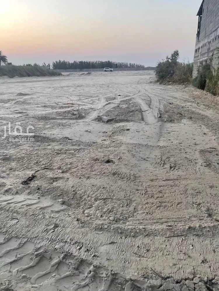 مزرعة للإيجار في شارع 0000, مدينة القطيف, المنطقة الشرقية 3