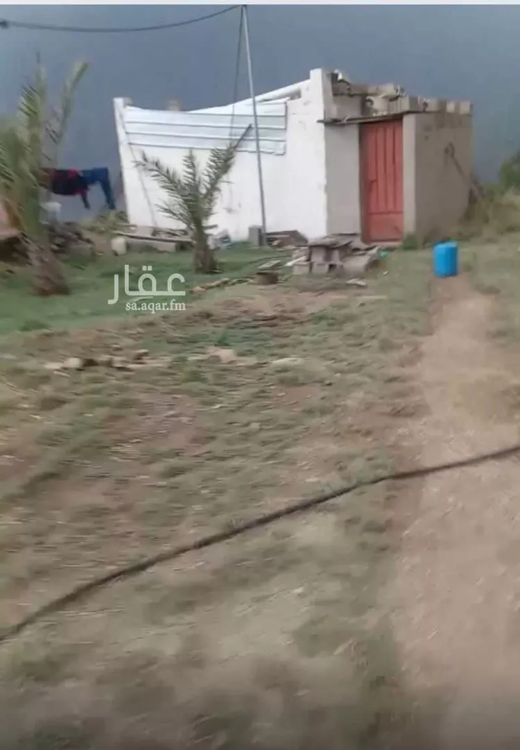 Farm for rent in Abha Al Khalidiyah صورة 4