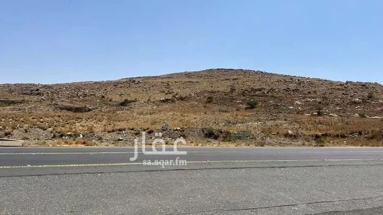مزرعة للبيع في شارع العام, حي المسك, مدينة أبها, منطقة عسير صورة 2