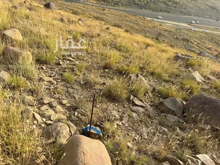 مزرعة للبيع في شارع العام, حي المسك, مدينة أبها, منطقة عسير صورة 3