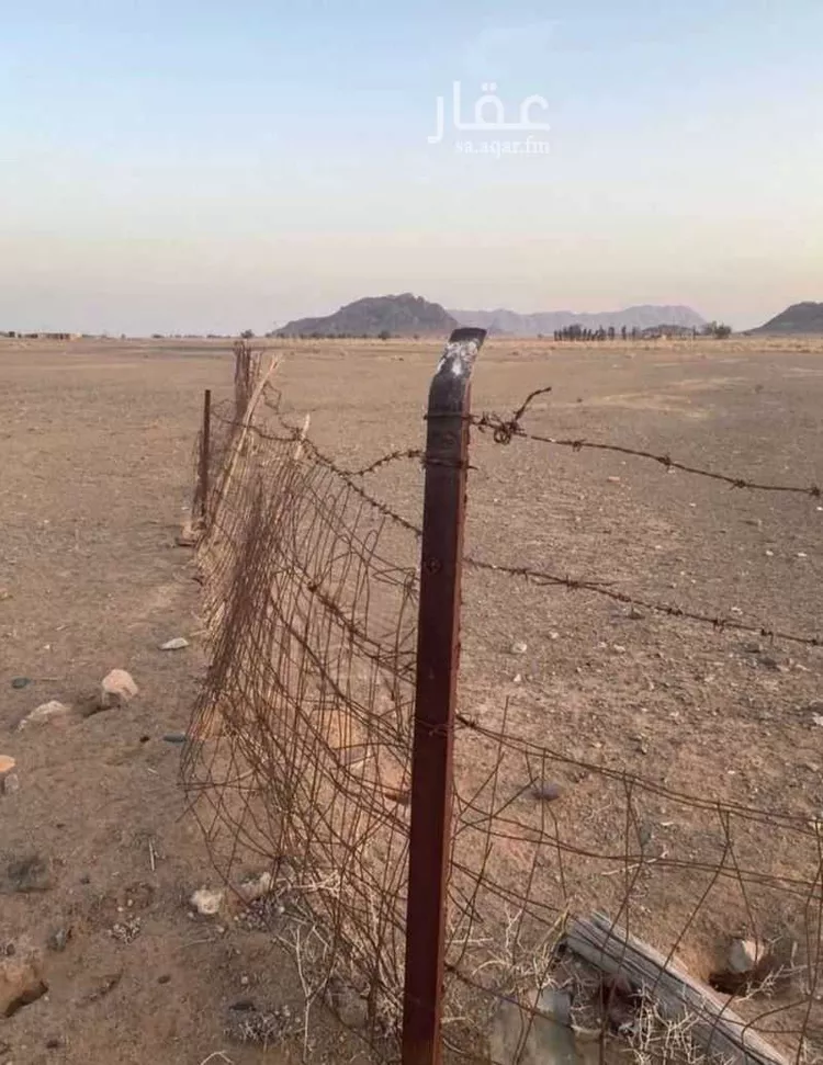 مزرعة للبيع في حي العموده الشماليه والجنوبيه, مدينة العموده الشماليه والجنوبيه, منطقة القصيم صورة 4