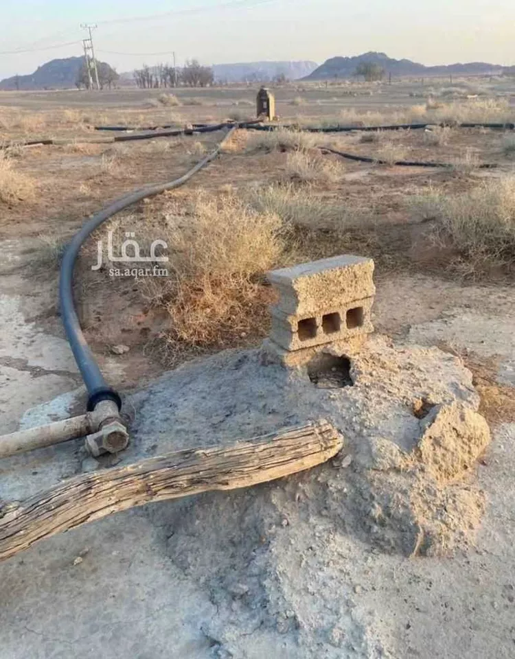 مزرعة للبيع في حي العموده الشماليه والجنوبيه, مدينة العموده الشماليه والجنوبيه, منطقة القصيم 10