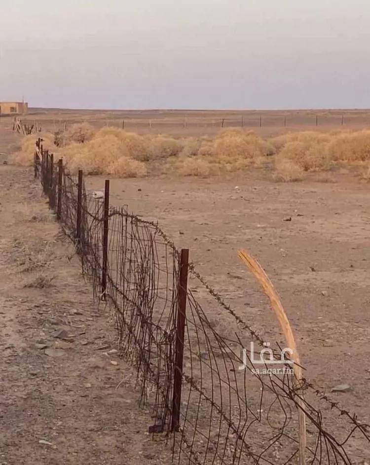 مزرعة للبيع في حي العموده الشماليه والجنوبيه, مدينة العموده الشماليه والجنوبيه, منطقة القصيم 12