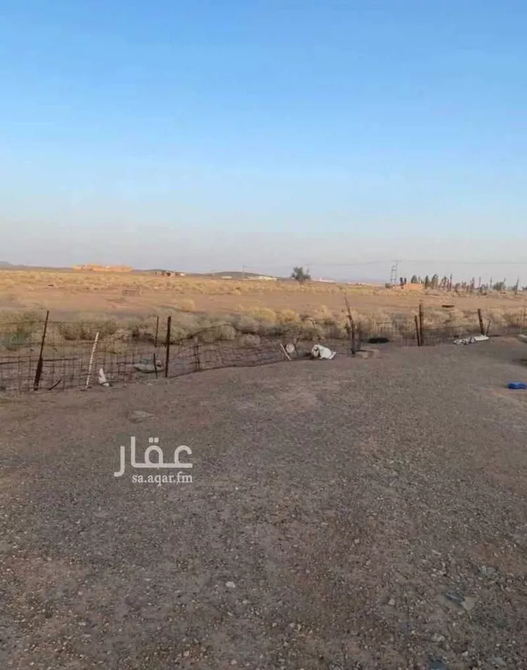 مزرعة للبيع في حي العموده الشماليه والجنوبيه, مدينة العموده الشماليه والجنوبيه, منطقة القصيم 6