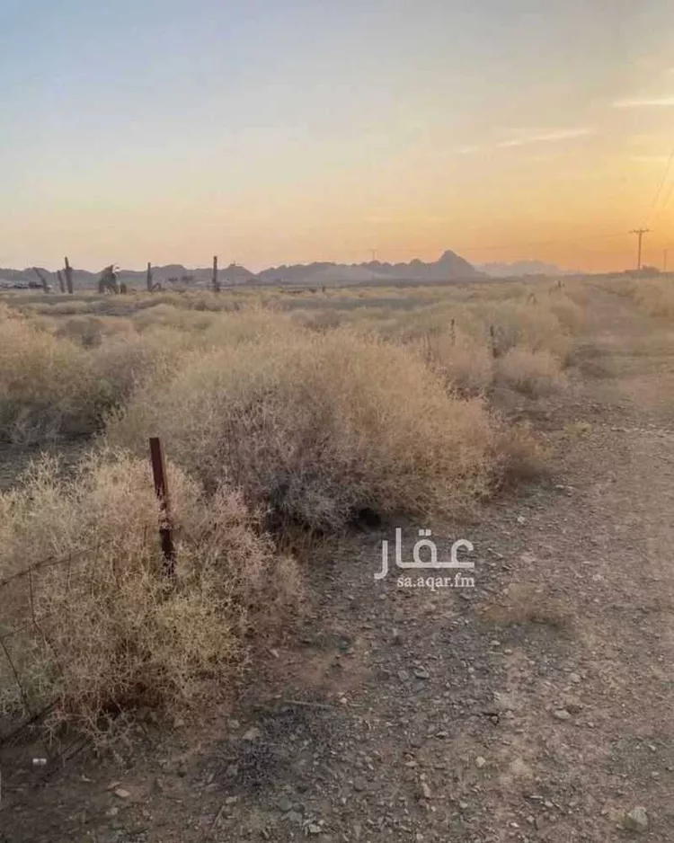 مزرعة للبيع في حي العموده الشماليه والجنوبيه, مدينة العموده الشماليه والجنوبيه, منطقة القصيم 11