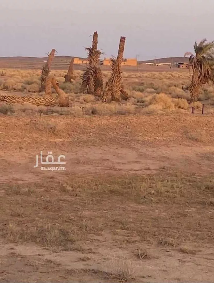 مزرعة للبيع في حي العموده الشماليه والجنوبيه, مدينة العموده الشماليه والجنوبيه, منطقة القصيم 9