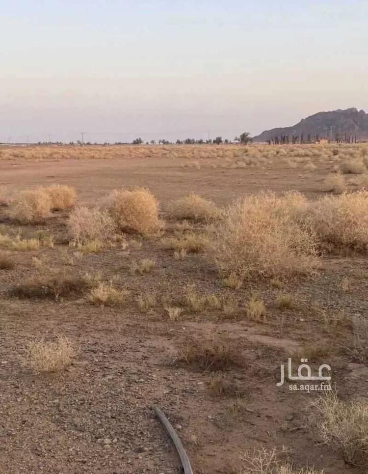 مزرعة للبيع في حي العموده الشماليه والجنوبيه, مدينة العموده الشماليه والجنوبيه, منطقة القصيم 7