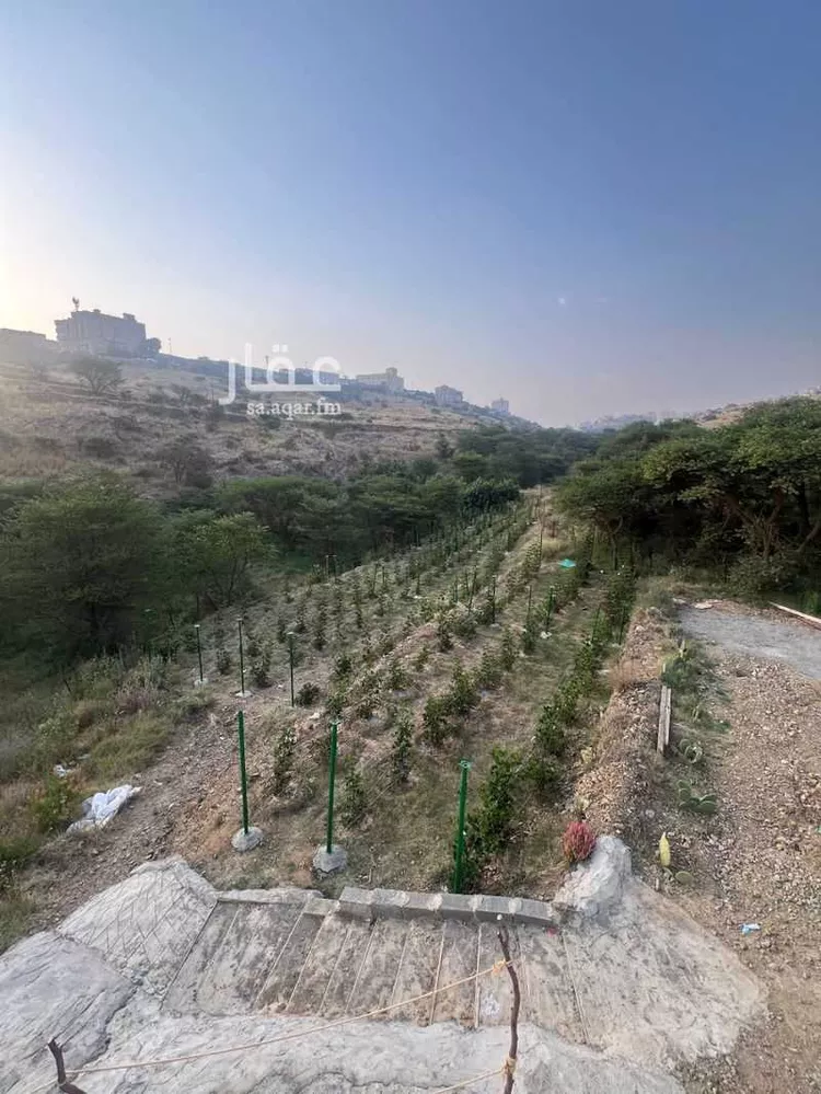 Camp for booking in Al Bahah Raghdan صورة 3