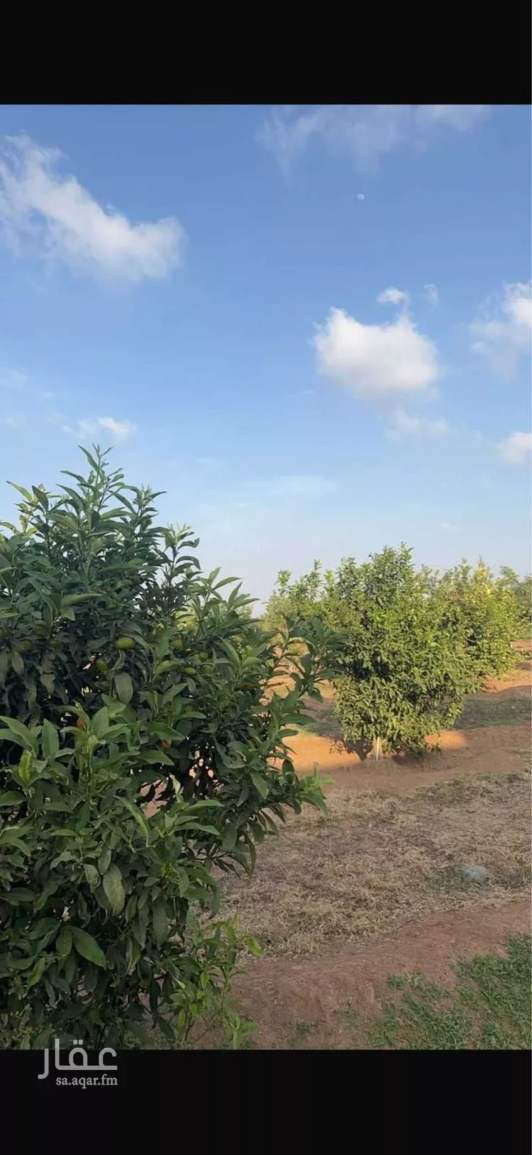مزرعة للبيع في شارع الحارث بن عبدالمطلب, حي العيرج, مدينة العيرج, منطقة عسير 17