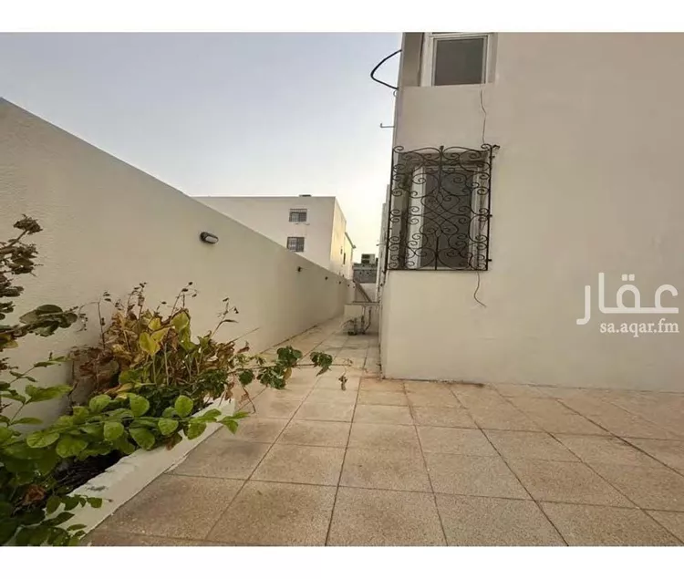 عمارة للإيجار في شارع ابراهيم اللوزي, حي المرجان, مدينة جدة, منطقة مكة المكرمة صورة 5