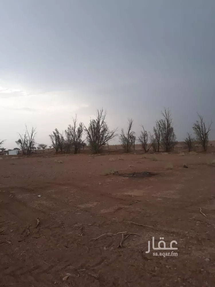 مزرعة للبيع في شارع 42611, حي الصويدرة, مدينة المدينة المنورة, منطقة المدينة المنورة صورة 4