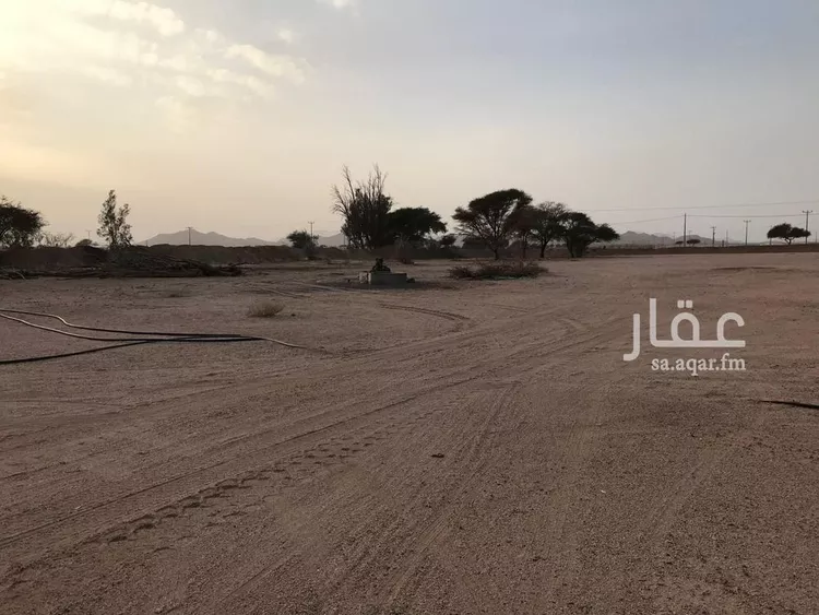 مزرعة للبيع في شارع 42611, حي الصويدرة, مدينة المدينة المنورة, منطقة المدينة المنورة صورة 3