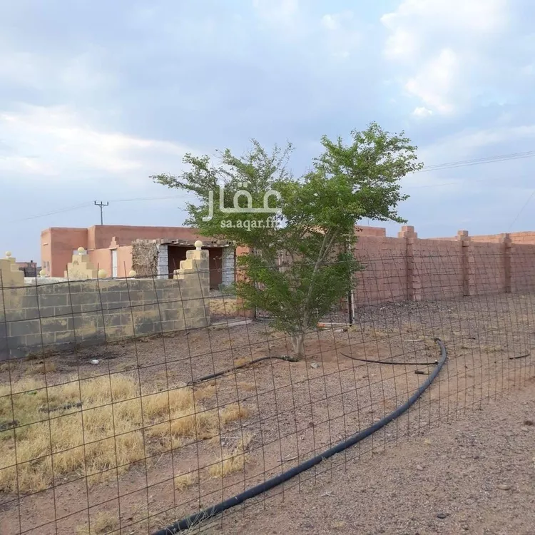 Farm for Sale in Al Henakiyah Al Henakiyah