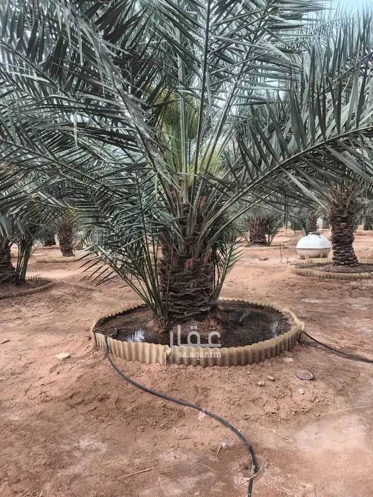 استراحة للبيع في شارع الحزم والبطينه 1 ، الخرج ، الدلم صورة 5
