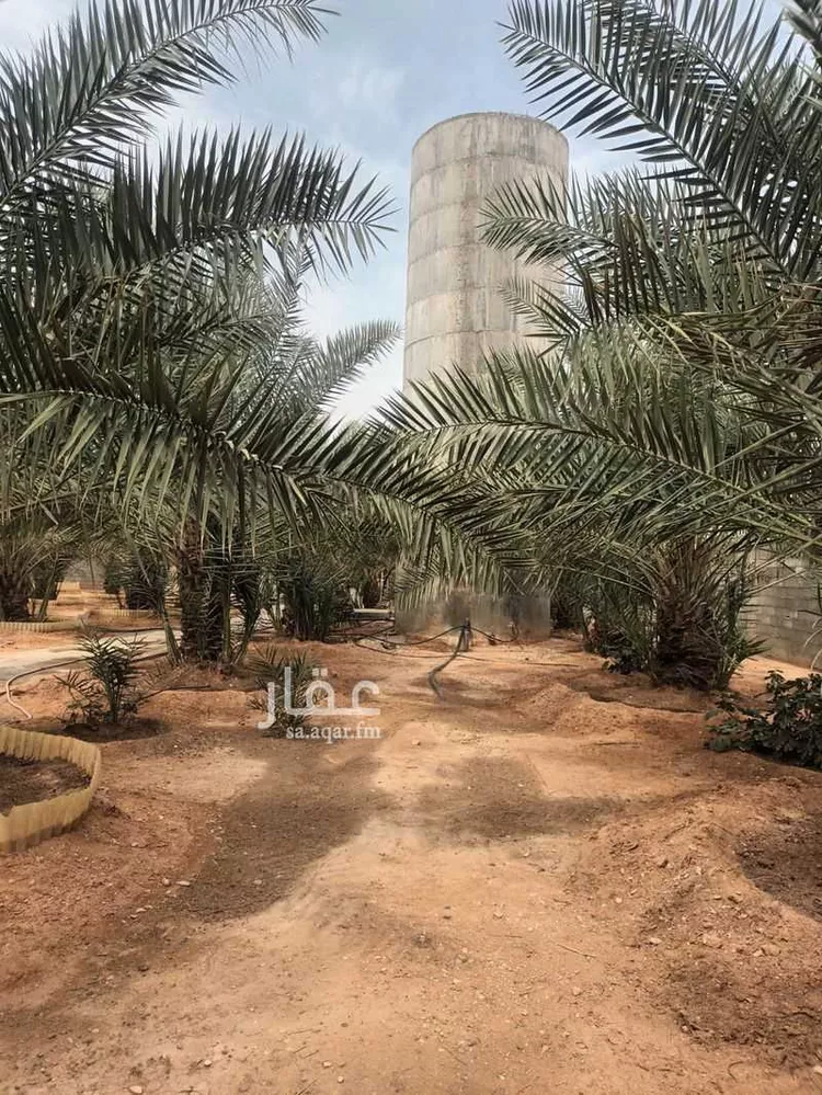 استراحة للبيع في شارع الحزم والبطينه 1 ، الخرج ، الدلم صورة 4