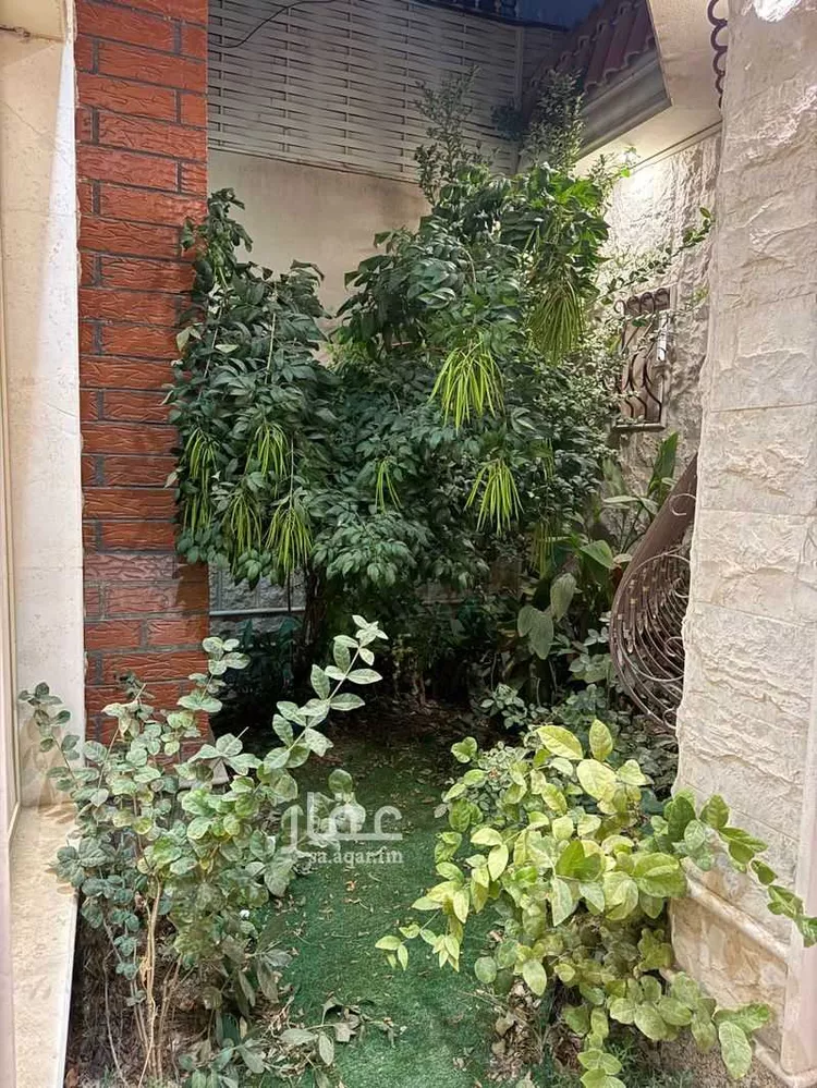 استراحة للبيع في شارع ظهره العودة غرب 33, حي ظهره العودة غرب, مدينة الدرعية, منطقة الرياض صورة 5