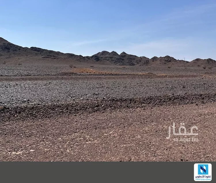 أرض للإيجار في حي الصويدرة, مدينة المدينة المنورة, منطقة المدينة المنورة صورة 2