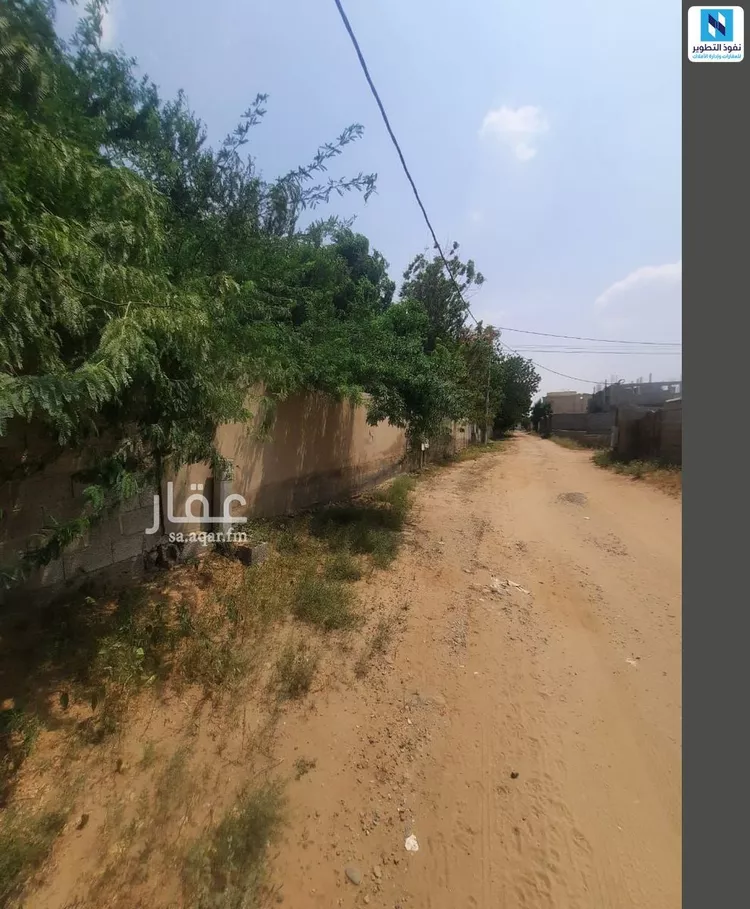أرض للإيجار في شارع الغنائم, حي ابوالسلع, مدينة ابوالسلع, منطقة جازان صورة 2