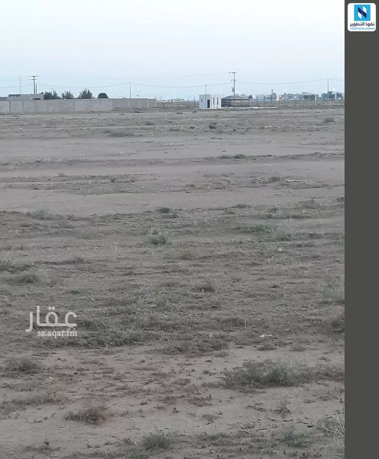 أرض للإيجار في حي الدليميه, مدينة الدليمية, منطقة القصيم صورة 3
