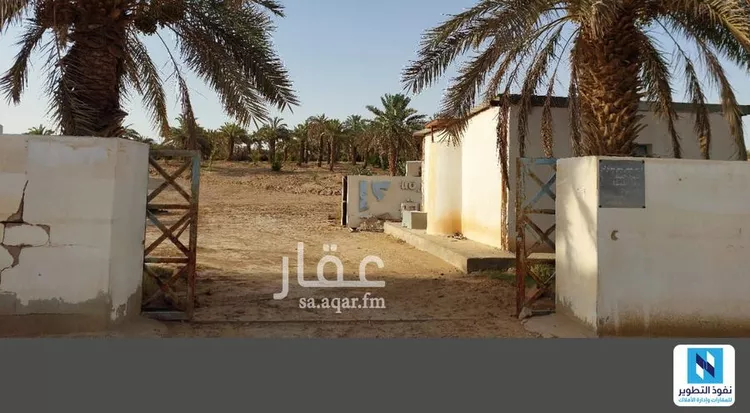 أرض للإيجار في شارع حذيفة ابن اليماني الازدي, مدينة الخرج, منطقة الرياض صورة 3
