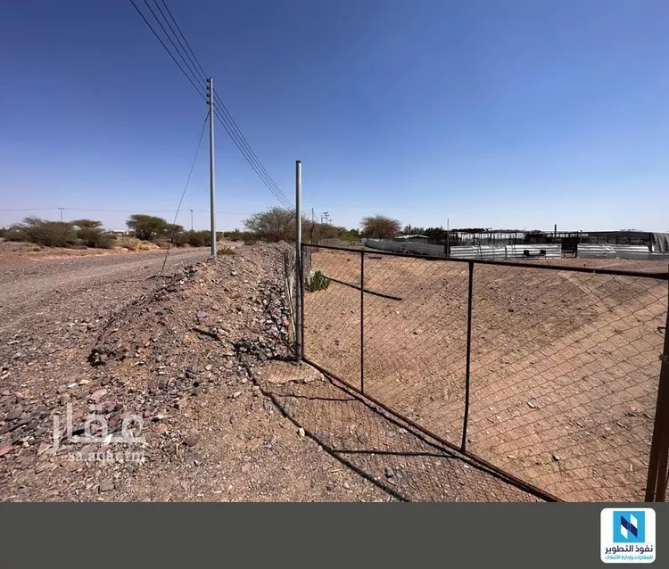 أرض للإيجار في حي الصويدرة, مدينة المدينة المنورة, منطقة المدينة المنورة صورة 2