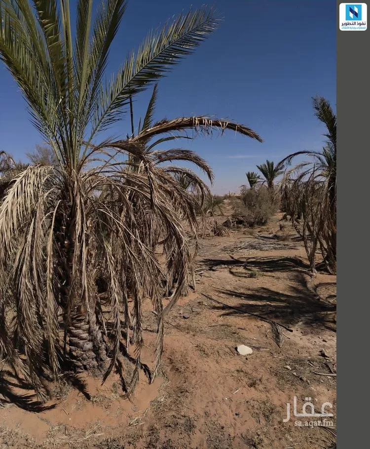 Farm for rent in Al Mithnab Qurtubah