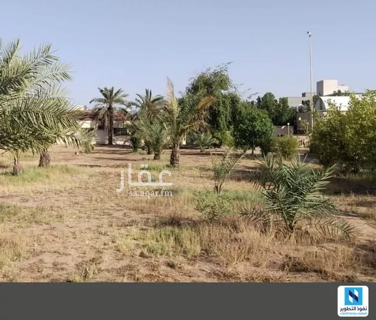مزرعة للإيجار في شارع عمر بن الخطاب, حي التوفيق, مدينة بريدة, منطقة القصيم صورة 3