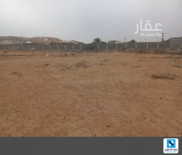 أرض للإيجار في شارع يثرب, حي العفجه, مدينة الخرج, منطقة الرياض صورة 2