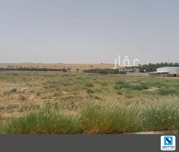 أرض للإيجار في شارع شارع محمد بن عبد الوهاب, حي حي الغرسات, مدينة الشماسية, منطقة القصيم صورة 3