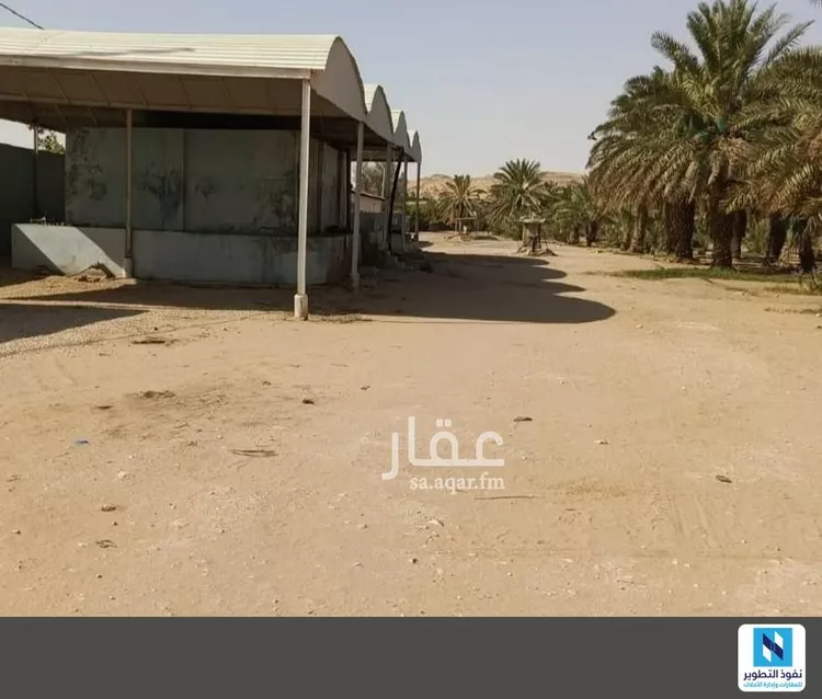 مزرعة للإيجار في شارع حي رقم 1099 2, مدينة الخرج, منطقة الرياض صورة 3