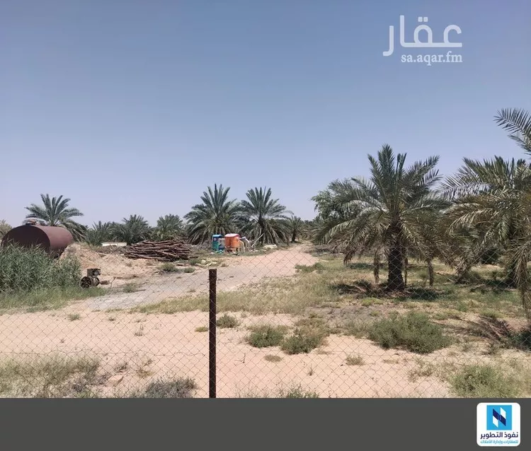 مزرعة للإيجار في شارع المجد 9, حي المجد, مدينة البكيرية, منطقة القصيم صورة 4