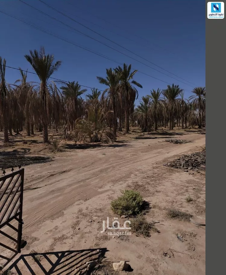 Farm for rent in Al Mithnab Qurtubah صورة 3