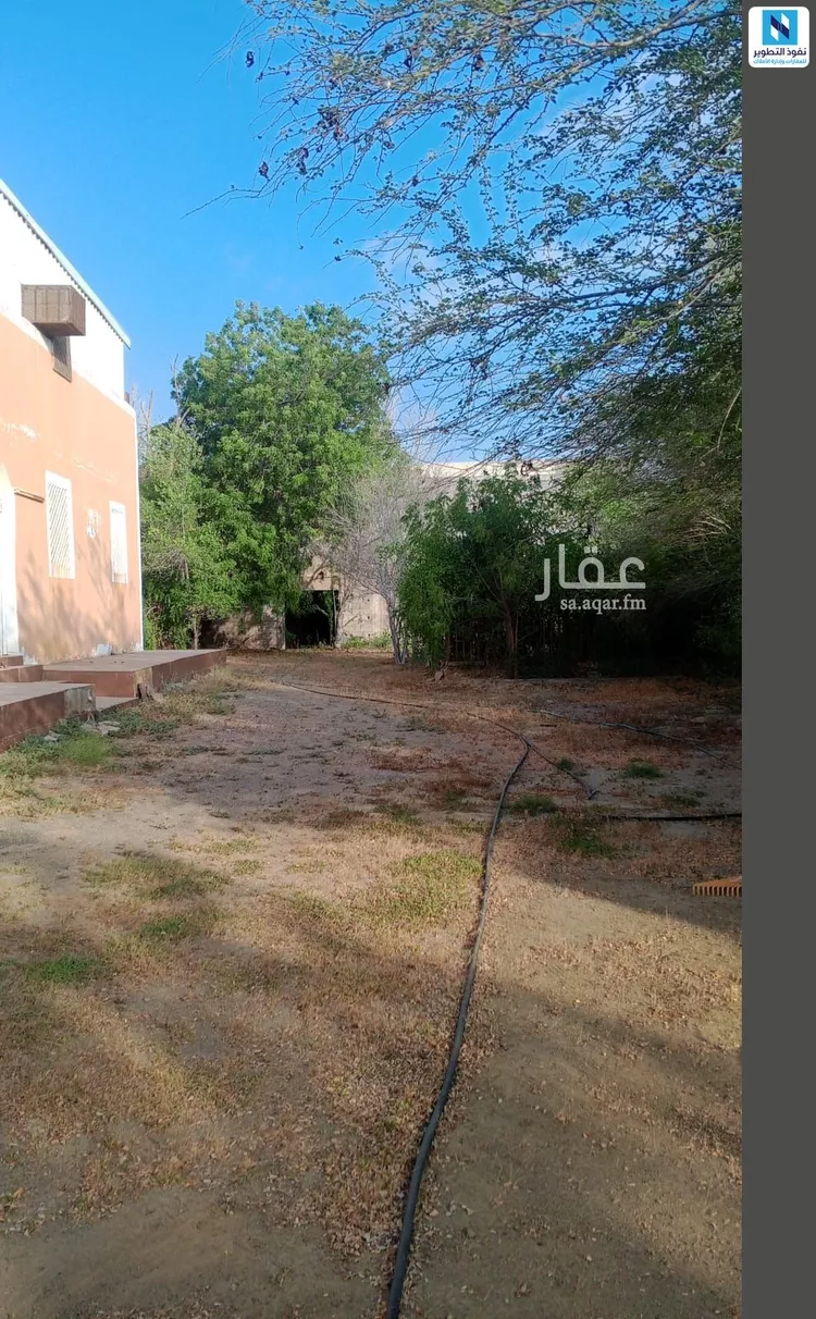 أرض للإيجار في شارع الغنائم, حي ابوالسلع, مدينة ابوالسلع, منطقة جازان صورة 5