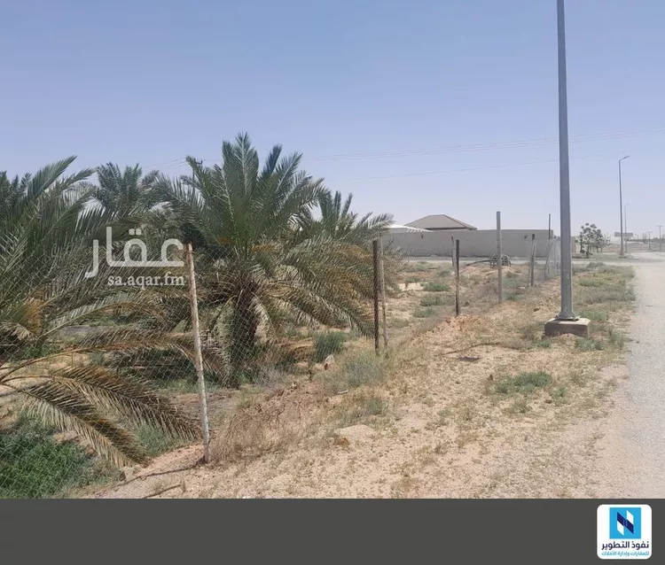 مزرعة للإيجار في شارع المجد 9, حي المجد, مدينة البكيرية, منطقة القصيم صورة 3