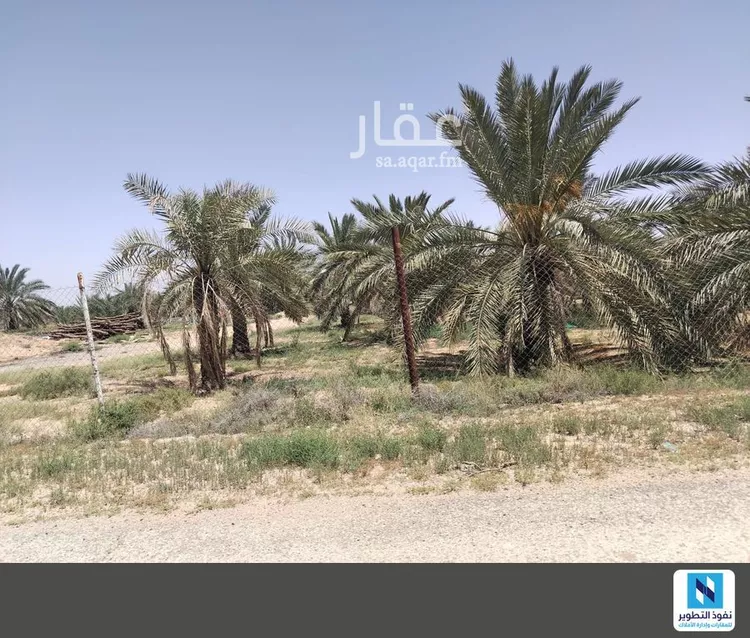 مزرعة للإيجار في شارع المجد 9, حي المجد, مدينة البكيرية, منطقة القصيم صورة 2