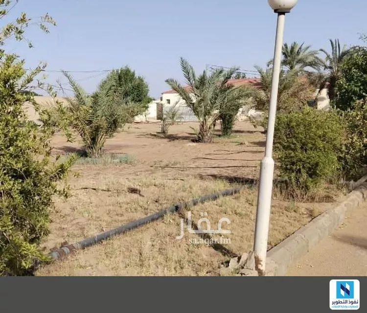 مزرعة للإيجار في شارع عمر بن الخطاب, حي التوفيق, مدينة بريدة, منطقة القصيم صورة 4