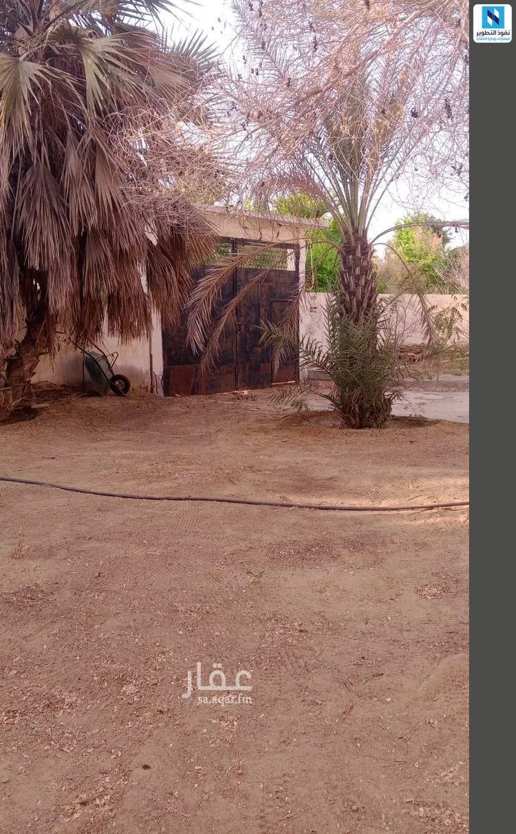 أرض للإيجار في شارع الغنائم, حي ابوالسلع, مدينة ابوالسلع, منطقة جازان صورة 4