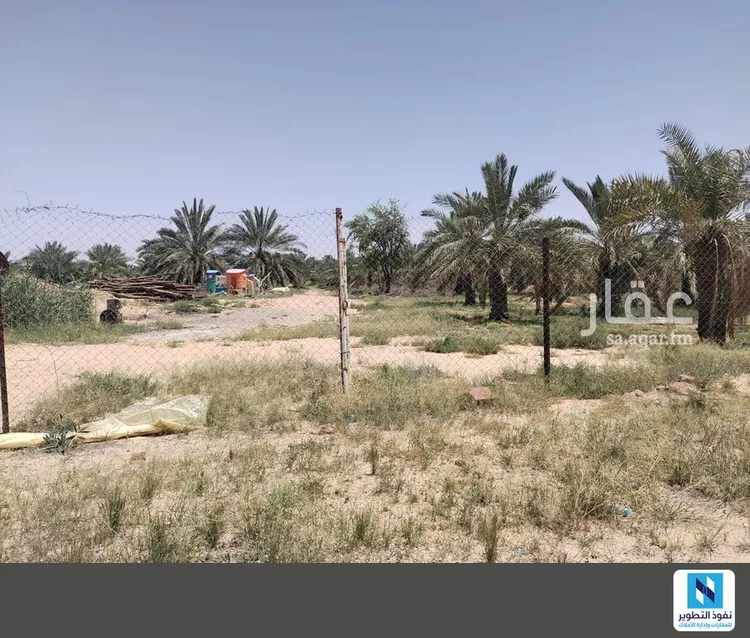 مزرعة للإيجار في شارع المجد 9, حي المجد, مدينة البكيرية, منطقة القصيم